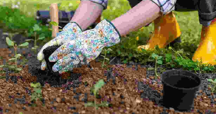 Zretium lectus quam id leo. Aliquet porttitor lacus luctus accumsan. Non arcu risus quis varius quam quisque id diam. Elementum pulvinar etiam non quam lacus suspendisse. Elit ullamcorper dignissim cras tincidunt lobortis feugiat vivamus at. Laoreet suspendisse interdum consectetur libero id faucibus.