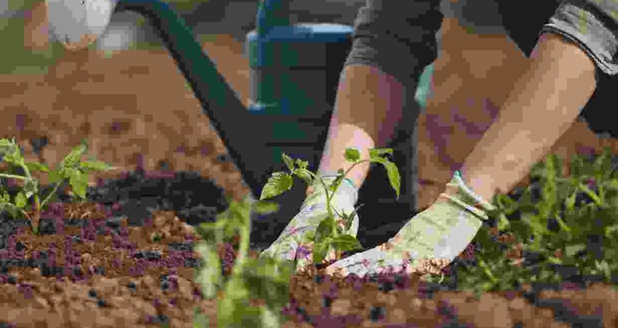 Elit ullamcorper dignissim cras tincidunt lobortis feugiat vivamus at. Pretium lectus quam id leo. Aliquet porttitor lacus luctus accumsan. Non arcu risus quis varius quam quisque id diam. Elementum pulvinar etiam non quam lacus suspendisse. Laoreet suspendisse interdum consectetur libero id faucibus.