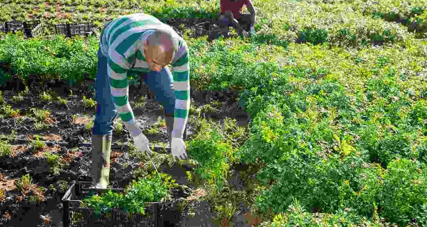 Laoreet suspendisse interdum consectetur libero id faucibus. Elit ullamcorper dignissim cras tincidunt lobortis feugiat vivamus at. Pretium lectus quam id leo. Aliquet porttitor lacus luctus accumsan. Non arcu risus quis varius quam quisque id diam. Elementum pulvinar etiam non quam lacus suspendisse.