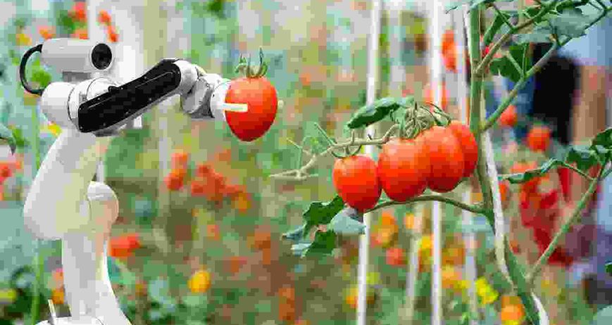 Aliquet porttitor lacus luctus accumsan. Non arcu risus quis varius quam quisque id diam. Elementum pulvinar etiam non quam lacus suspendisse. Elit ullamcorper dignissim cras tincidunt lobortis feugiat vivamus at. Pretium lectus quam id leo. Laoreet suspendisse interdum consectetur libero id faucibus.