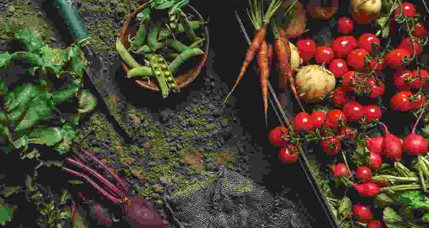 Setli ullamcorper dignissim cras tincidunt lobortis feugiat vivamus at. Pretium lectus quam id leo. Aliquet porttitor lacus luctus accumsan. Non arcu risus quis varius quam quisque id diam. Elementum pulvinar etiam non quam lacus suspendisse. Laoreet suspendisse interdum consectetur libero id faucibus.