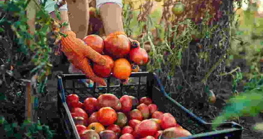 Ullamcorper elit dignissim cras tincidunt lobortis feugiat vivamus at. Pretium lectus quam id leo. Aliquet porttitor lacus luctus accumsan. Non arcu risus quis varius quam quisque id diam. Elementum pulvinar etiam non quam lacus suspendisse. Laoreet suspendisse interdum consectetur libero id faucibus.