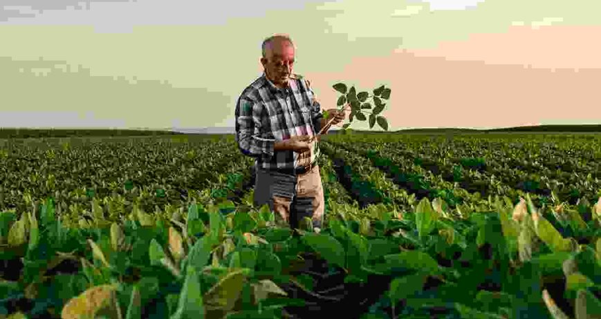 Tincidunt lobortis feugiat elit ullamcorper dignissim cras vivamus at. Pretium lectus quam id leo. Aliquet porttitor lacus luctus accumsan. Non arcu risus quis varius quam quisque id diam. Elementum pulvinar etiam non quam lacus suspendisse. Laoreet suspendisse interdum consectetu.