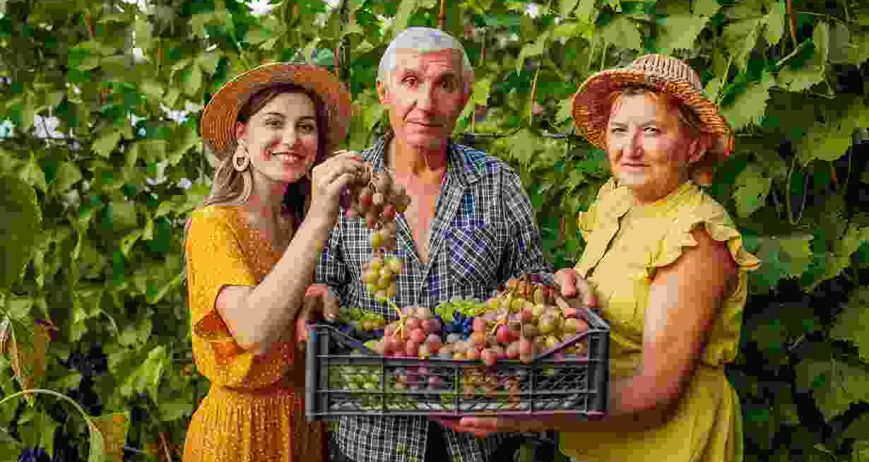 Faoreet suspendisse interdum consectetur libero id faucibus. Elit ullamcorper dignissim cras tincidunt lobortis feugiat vivamus at. Pretium lectus quam id leo. Aliquet porttitor lacus luctus accumsan. Non arcu risus quis varius quam quisque id diam. Elementum pulvinar etiam non quam lacus suspendisse.